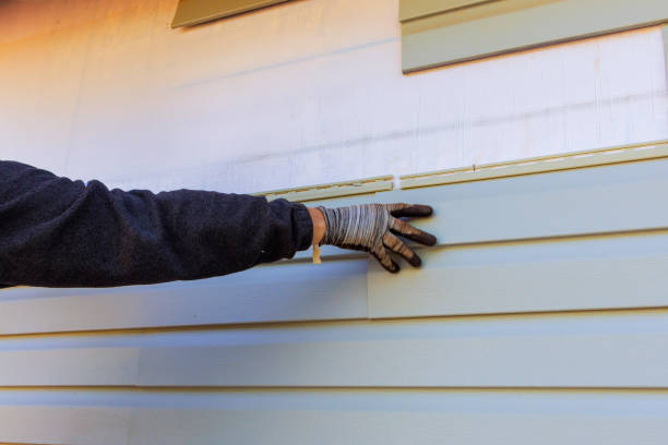 Affordable Siding Repair and Maintenance Services in Lisle, IL